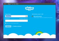 Skype 4.1 