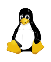 20 godina Linux-a
