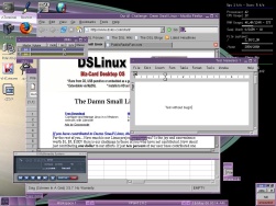 Damn Small Linux 2.4